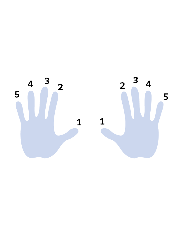 Fig A